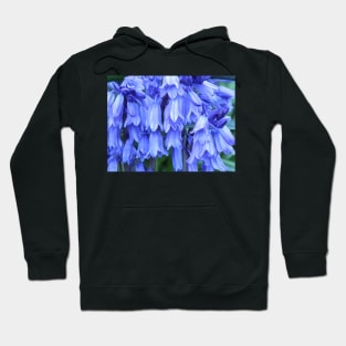 Bluebells Hoodie